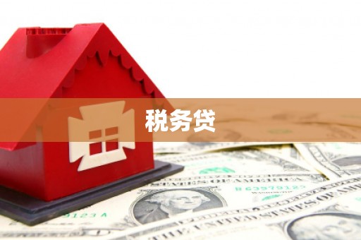 重庆税务贷