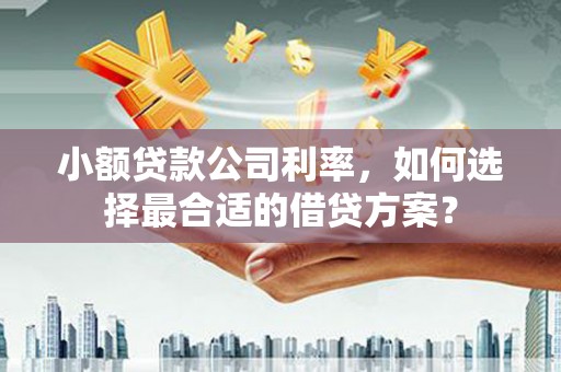 重庆小额贷款公司利率，如何选择最合适的借贷方案？
