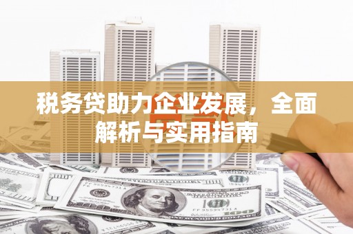 重庆税务贷助力企业发展，全面解析与实用指南