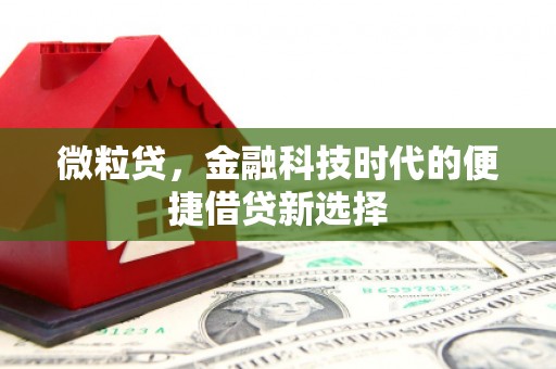 重庆微粒贷，金融科技时代的便捷借贷新选择